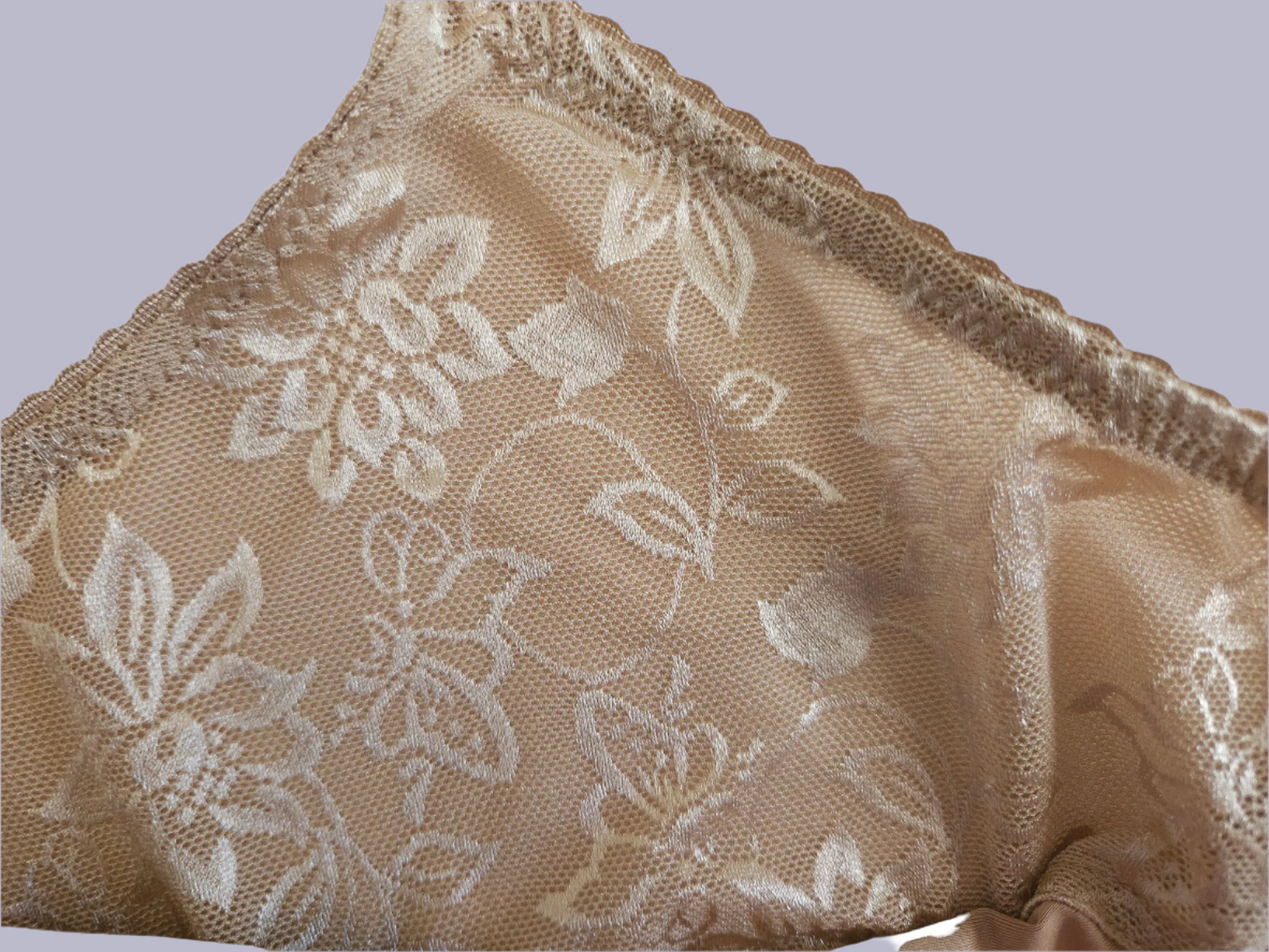 Up Close view of the lace on La Plantureuse Leisure bra in the color nude.