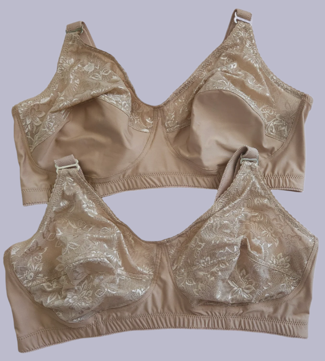 Front View of La Plantureuse Leisure Bras in the color Nude